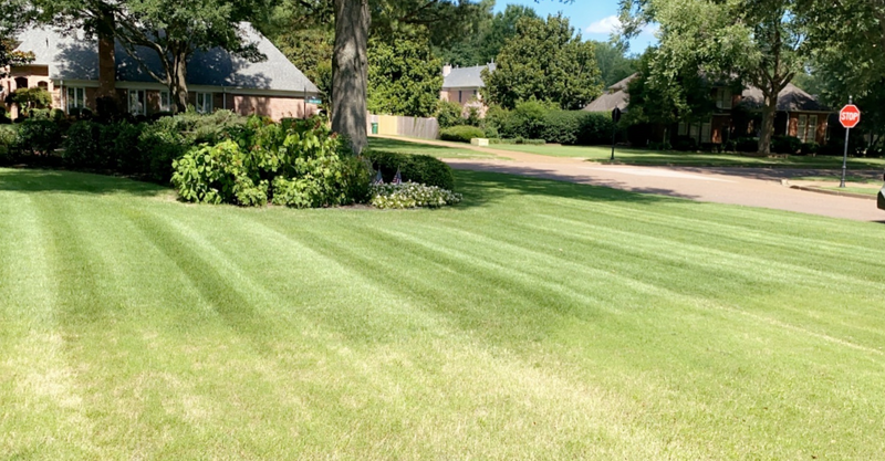 The Wolf River Lawn & Landscape Difference (1).png