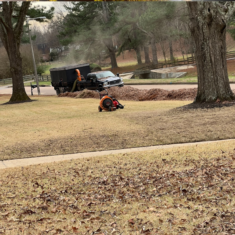 Untitled design (45).png