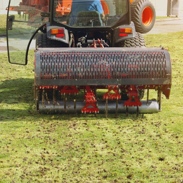 Aeration and Overseeding 