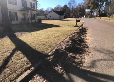 Leaf Removal