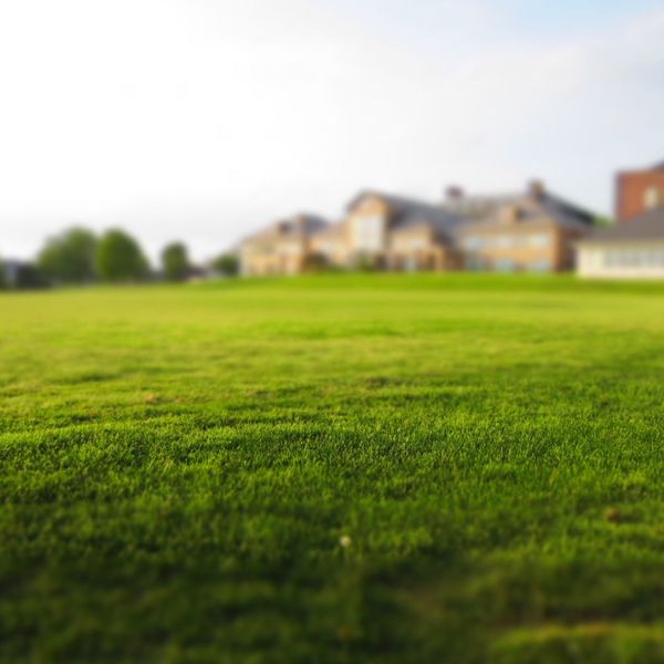 Lawn services CE.jpg
