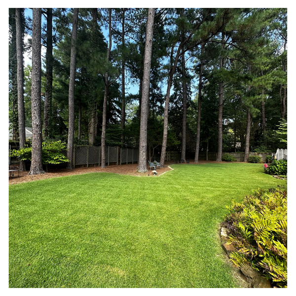 The Wolf River Lawn & Landscape Difference - Image 4.png