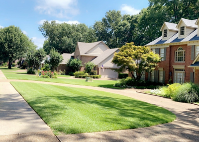 Lawn Mowing