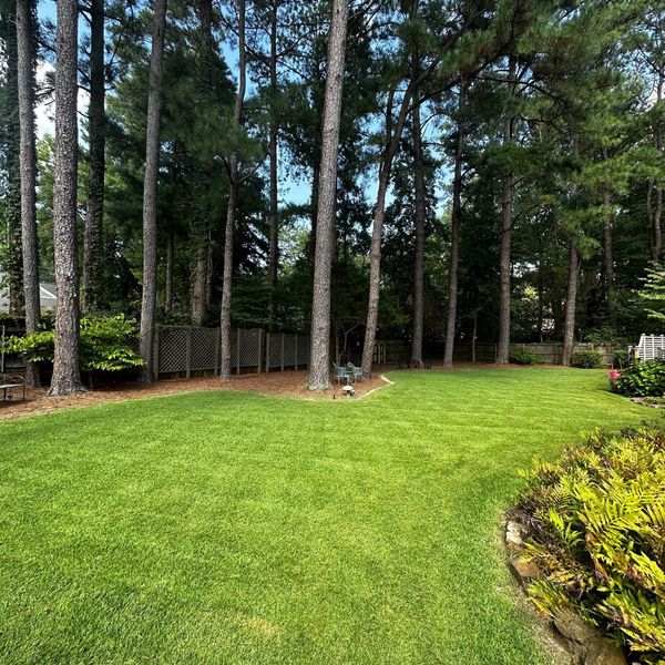 trees and landscaping trees and landscaping
