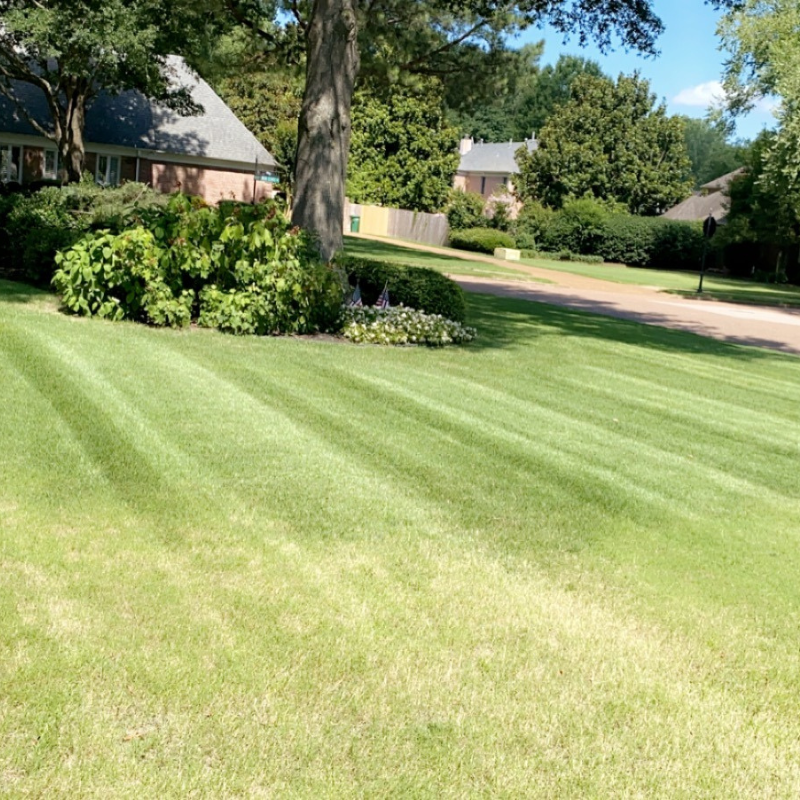 Untitled design (37).png