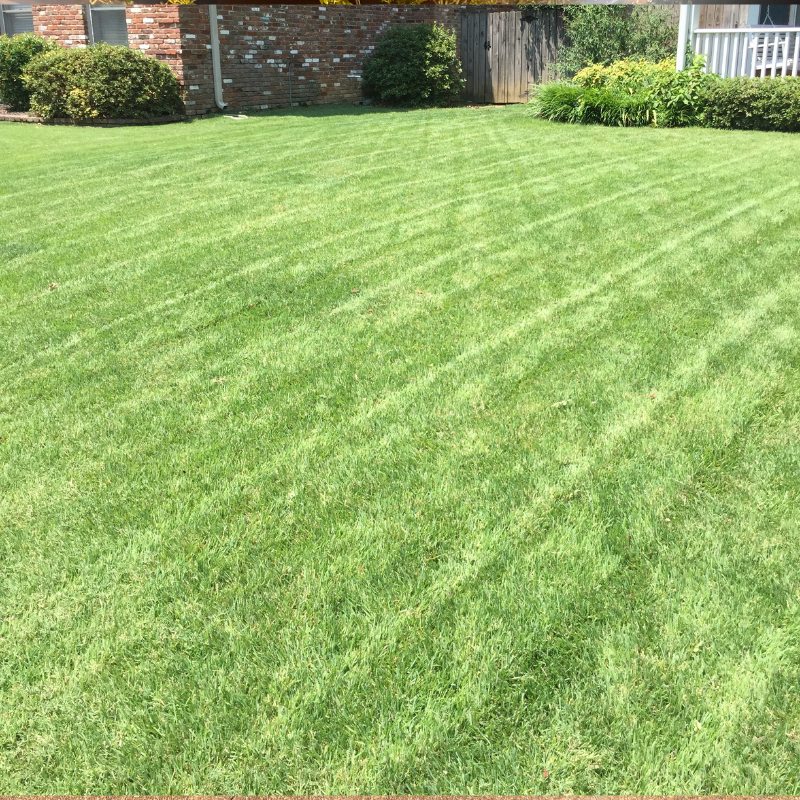 Untitled design (44).png