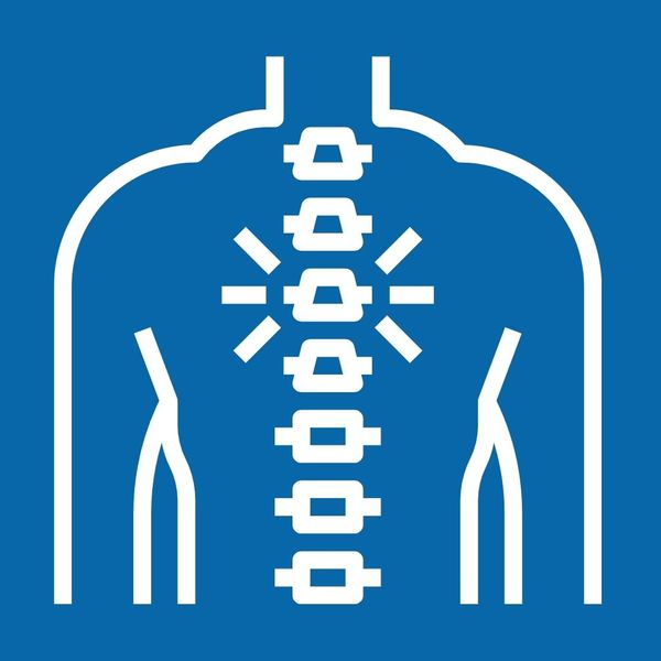 icon of a persons back and spine