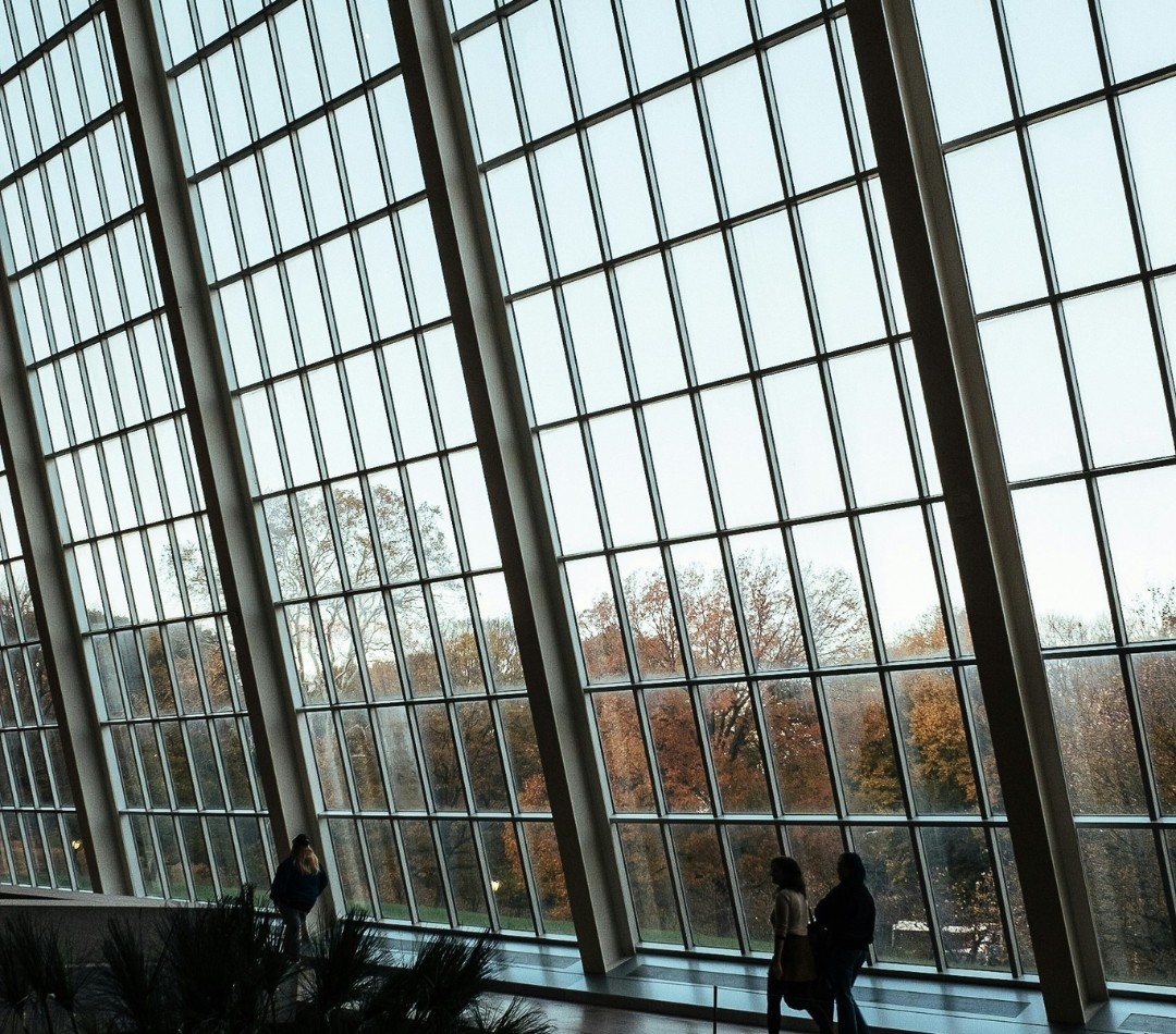 commercial windows commercial windows