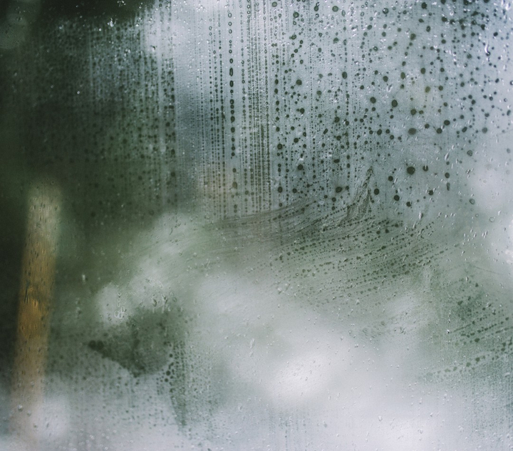 foggy window foggy window