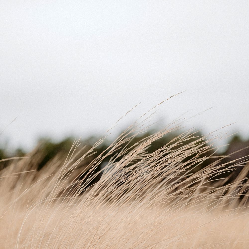 annie-spratt-DwUYb00nhtQ-unsplash.jpg