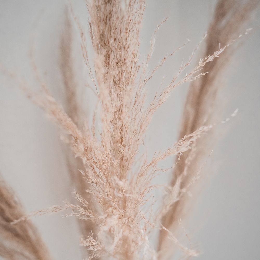 jasmin-ne-um6j9kMY57o-unsplash.jpg