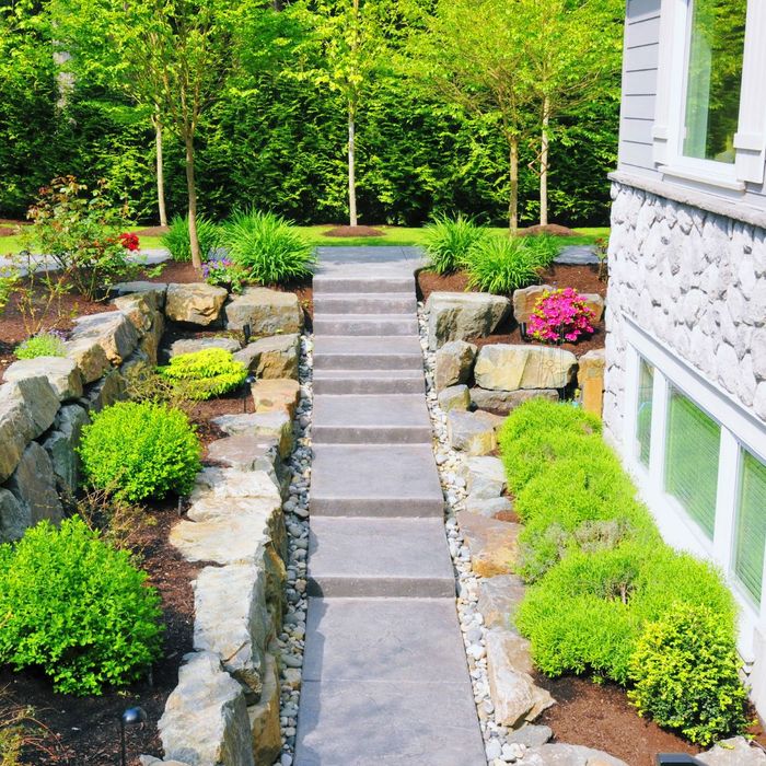 landscape design