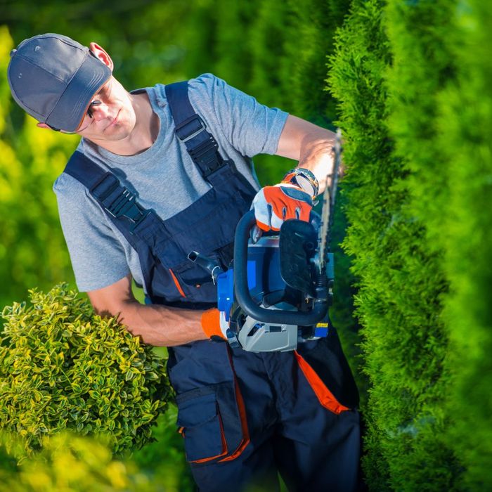 The Top 4 Questions to Ask a Landscaper Before You Sign a Contract1.jpg