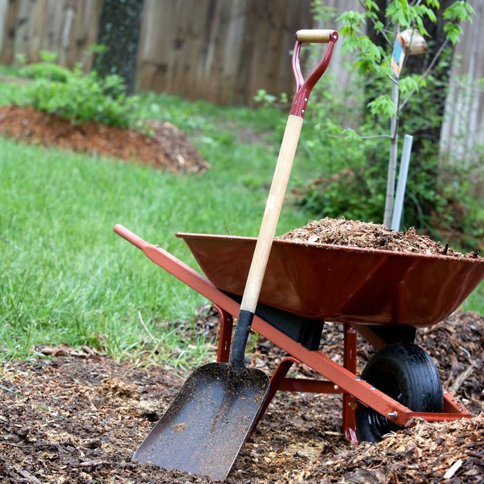 mulch in wheelbarrow