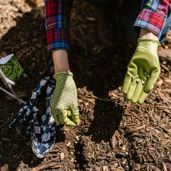 Using Mulch-1.jpg