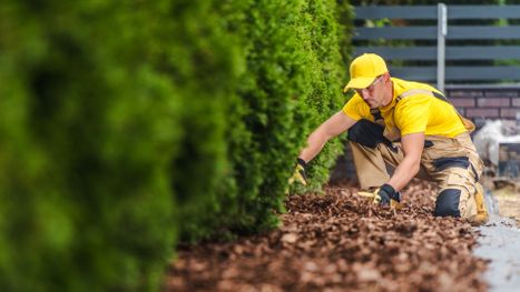 installing mulch