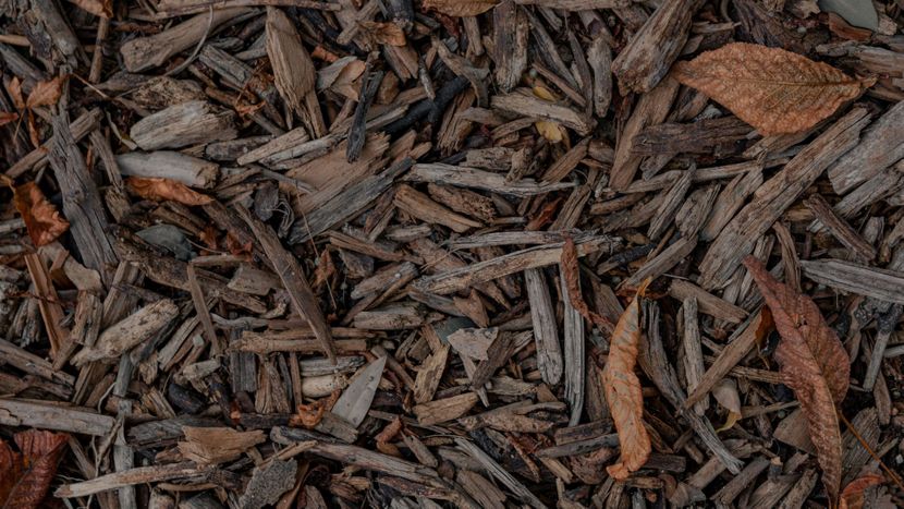 The Mulch Installation- Hero.jpg