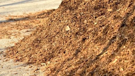 M35619 - 4th Generation Landscaping and Design - How to Pick the Right Type of Mulch Material.jpg