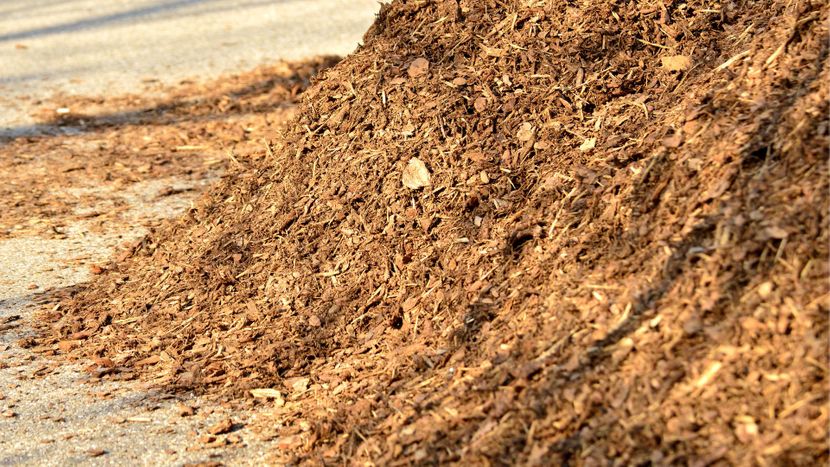 M35619 - 4th Generation Landscaping and Design - How to Pick the Right Type of Mulch Material.jpg
