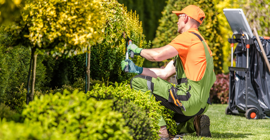 M35619 - Blog - Top Landscaping Services Every Homeowner in Charlotte, NC Needs-BigHero.png