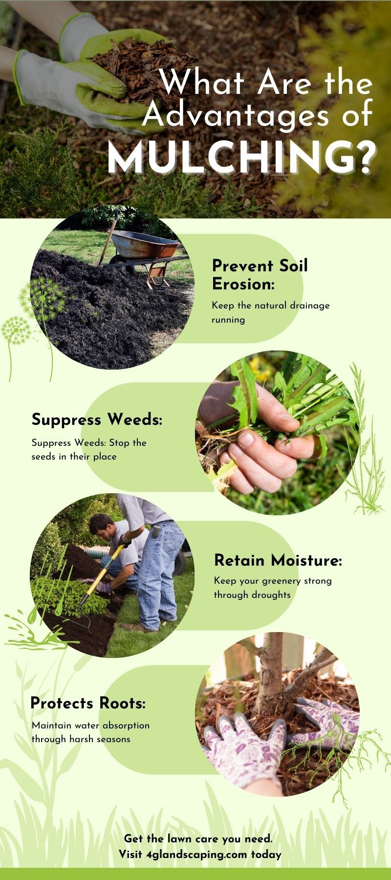 What Are the Advantages of Mulching.jpg