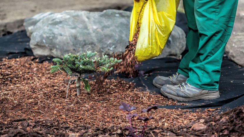 M35619 - 4th Generation Landscaping and Design - Dos and Donts of Mulching Your Garde.jpg