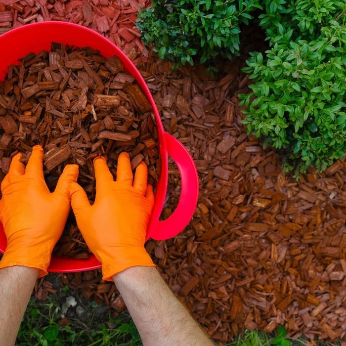 wood mulch