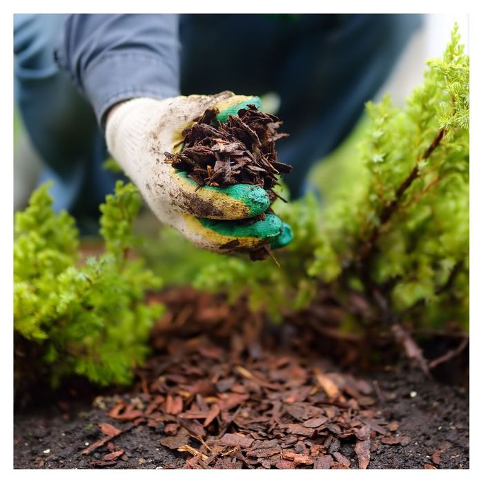 Mulch in hand 