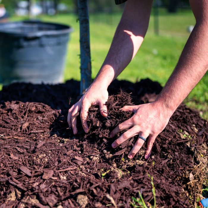 4 Landscaping Maintenance Dos and Don'ts (4).jpg