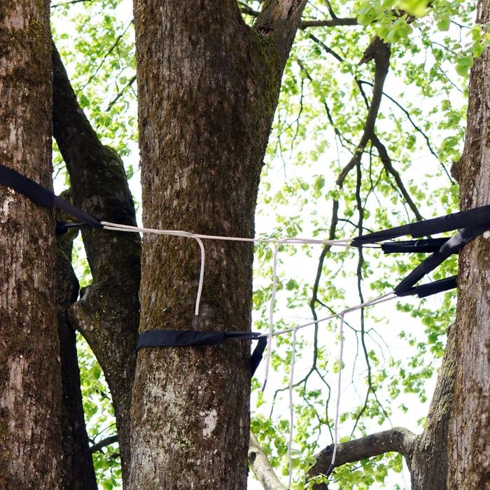 straps holding up leaning tree