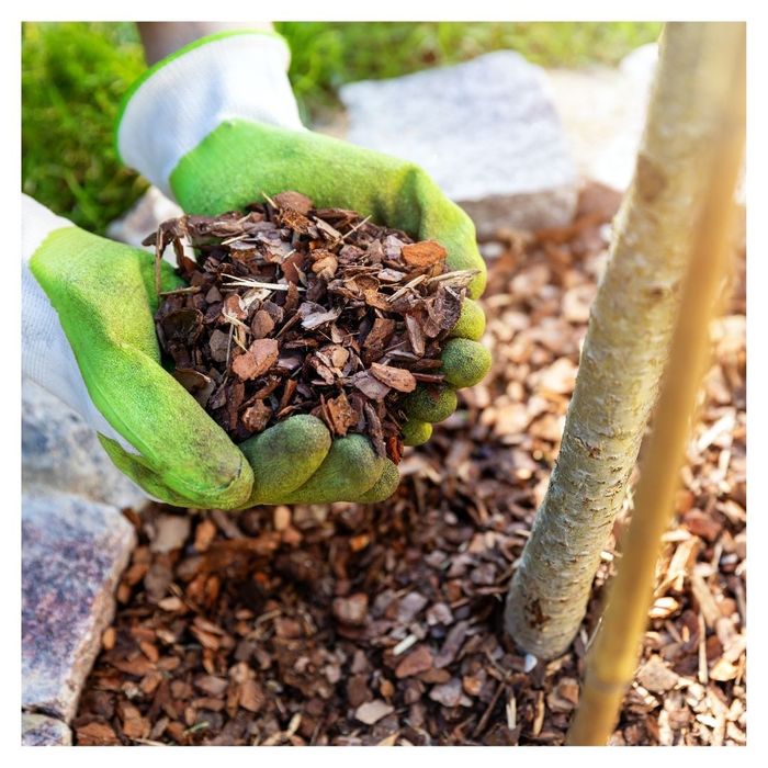 organic mulch 