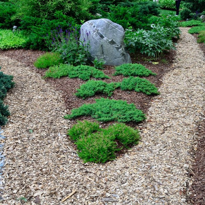 landscape with mulch