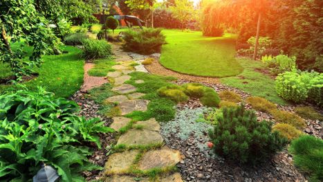 M35619 - Blitz - 4 Things To Know Before Starting a Landscaping Project - featured image.jpg