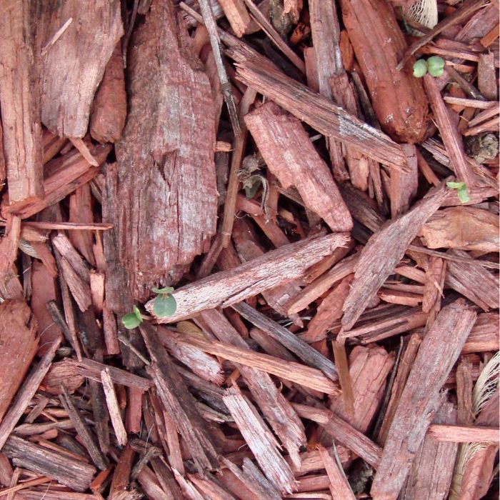 Using Mulch-3.jpg