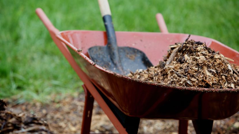 mulch in wheelbarrow 