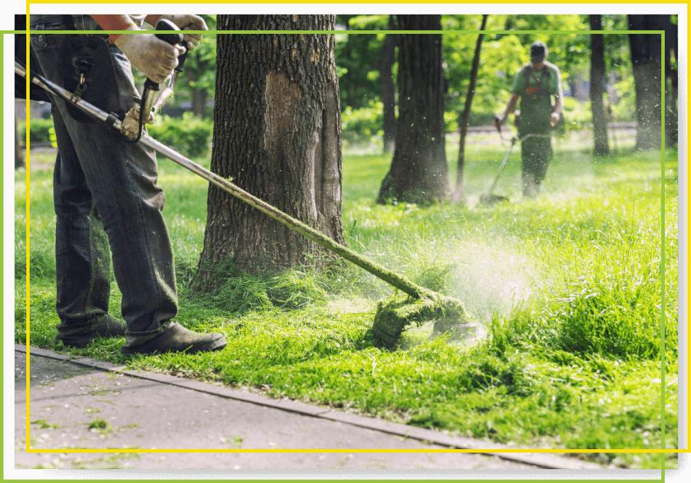 landscaper trimming overgrown vegetation landscaper trimming overgrown vegetation
