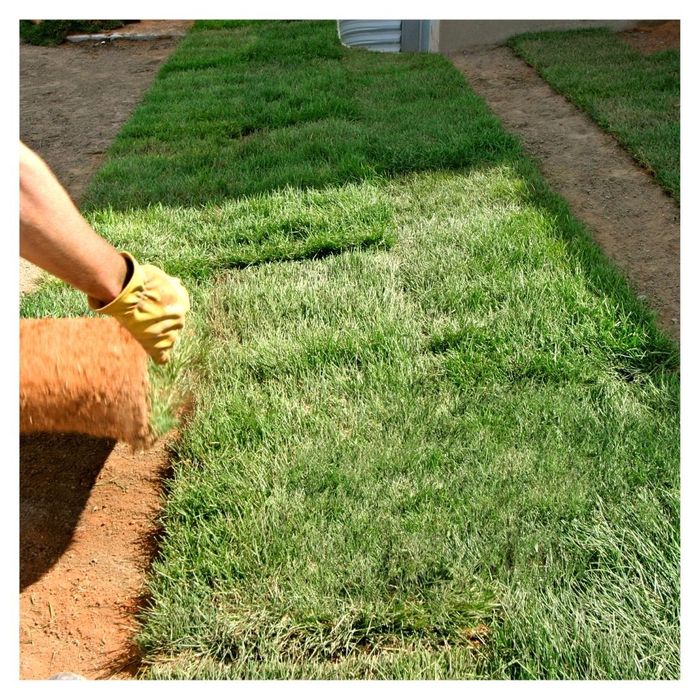 laying sod