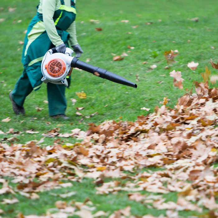 leaf blower used in fall cleanup