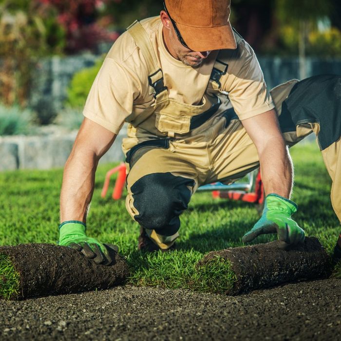 landscape contractor