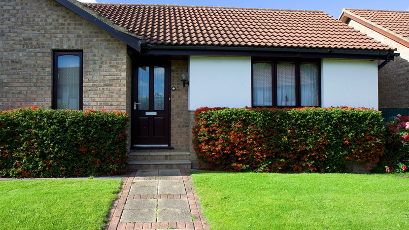 M35619 - Blitz - Four Steps to Starting Your Yard Renovation-featured.png