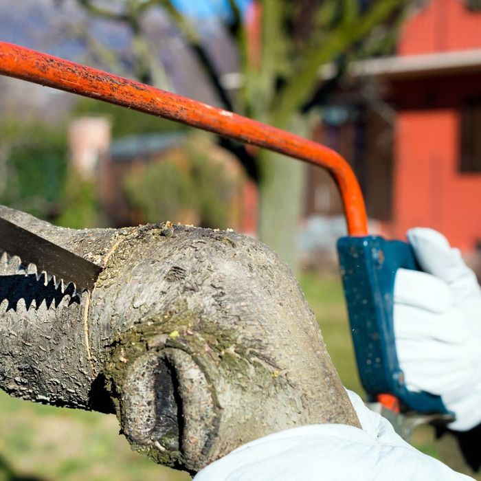 Yard clearing tools. Yard clearing tools.