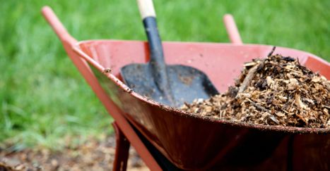 M35619 - Blog - The Benefits of Mulch Installation for Your Charlotte, NC Landscape-Big Hero.jpg