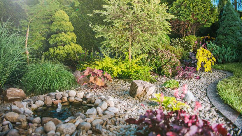 beautiful backyard landscaping