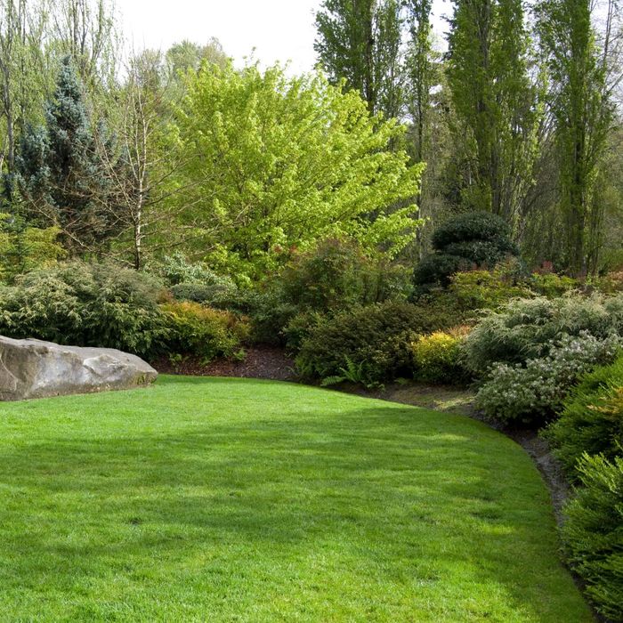 The Top 4 Questions to Ask a Landscaper Before You Sign a Contract3.jpg