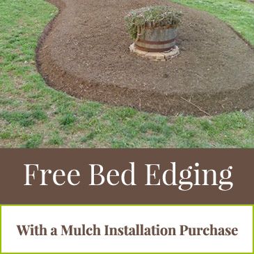 Free Bed Edging