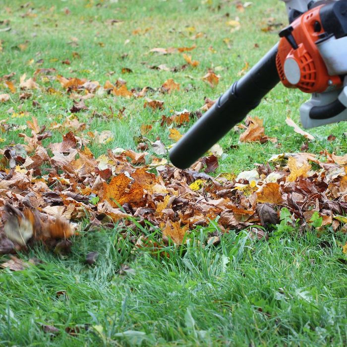 leaf blower