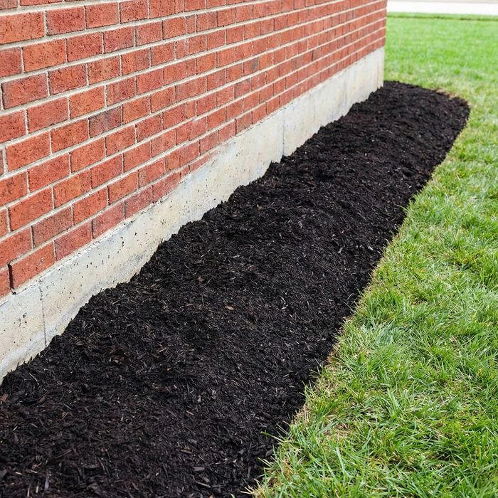 Blog 1 ImagesArtboard 1.jpg