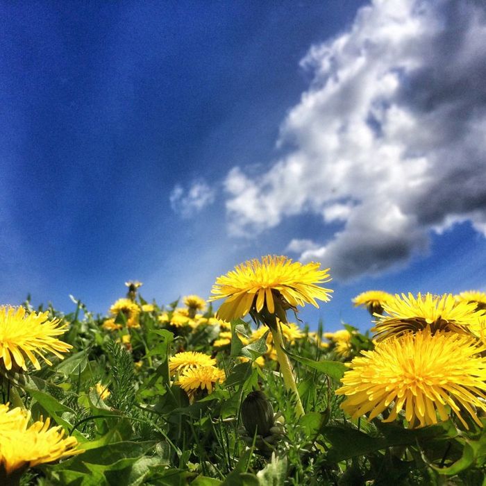 The Top 4 Questions to Ask a Landscaper Before You Sign a Contract2.jpg