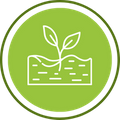 icon of plant in soil icon of plant in soil