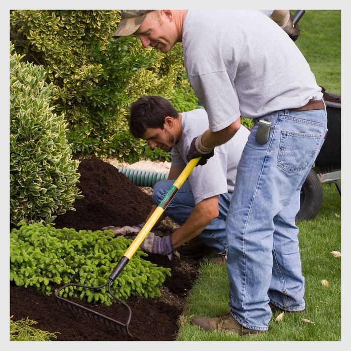 mulch installation 